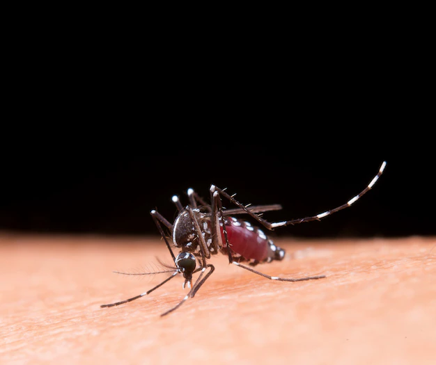 icmr-to-collaborate-with-manufacturing-companies-for-malaria-detection-tech-transfer